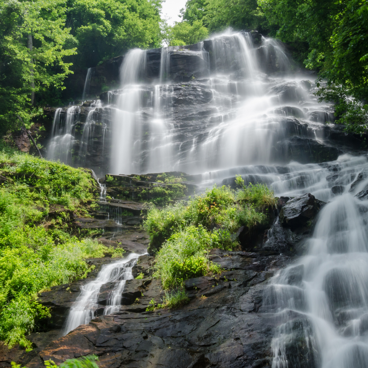 Amicalola Falls State Park