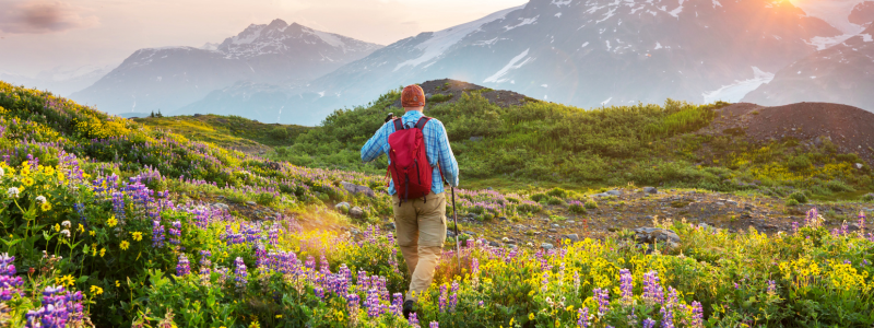 The Best States For Your Next Travel Healthcare Assignment