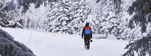 Person walking through a snowy forest