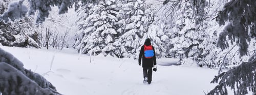 Person walking through a snowy forest
