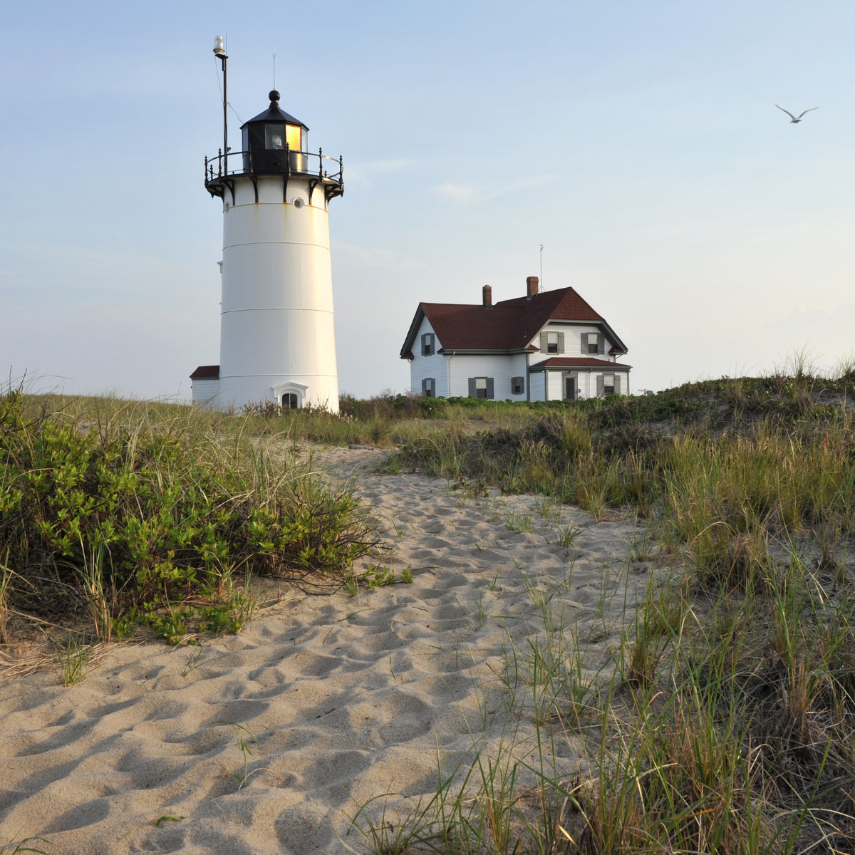 Cape Cod National Seashore