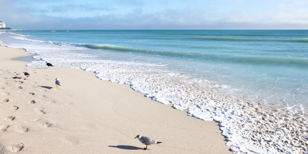 Florida beach