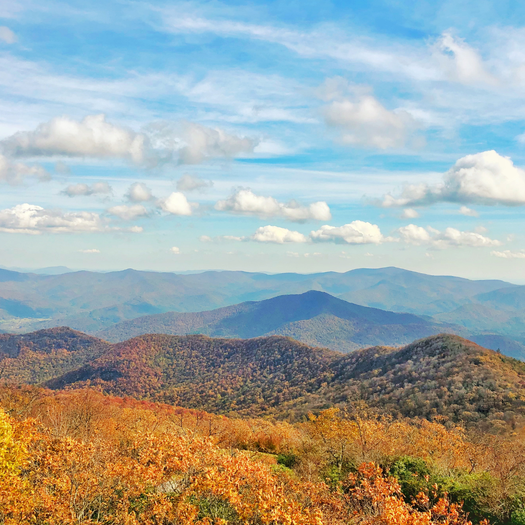 Georgia in fall