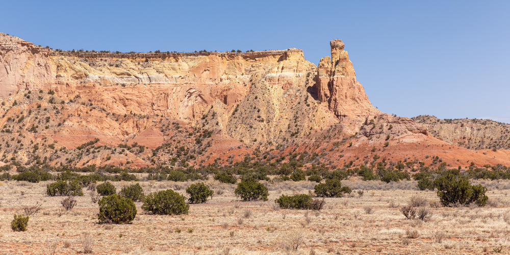 New Mexico desert