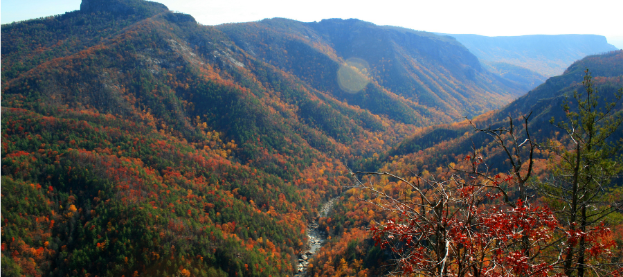 North Carolina in fall (1)