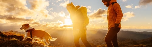 People hiking with their dog against the sunrise