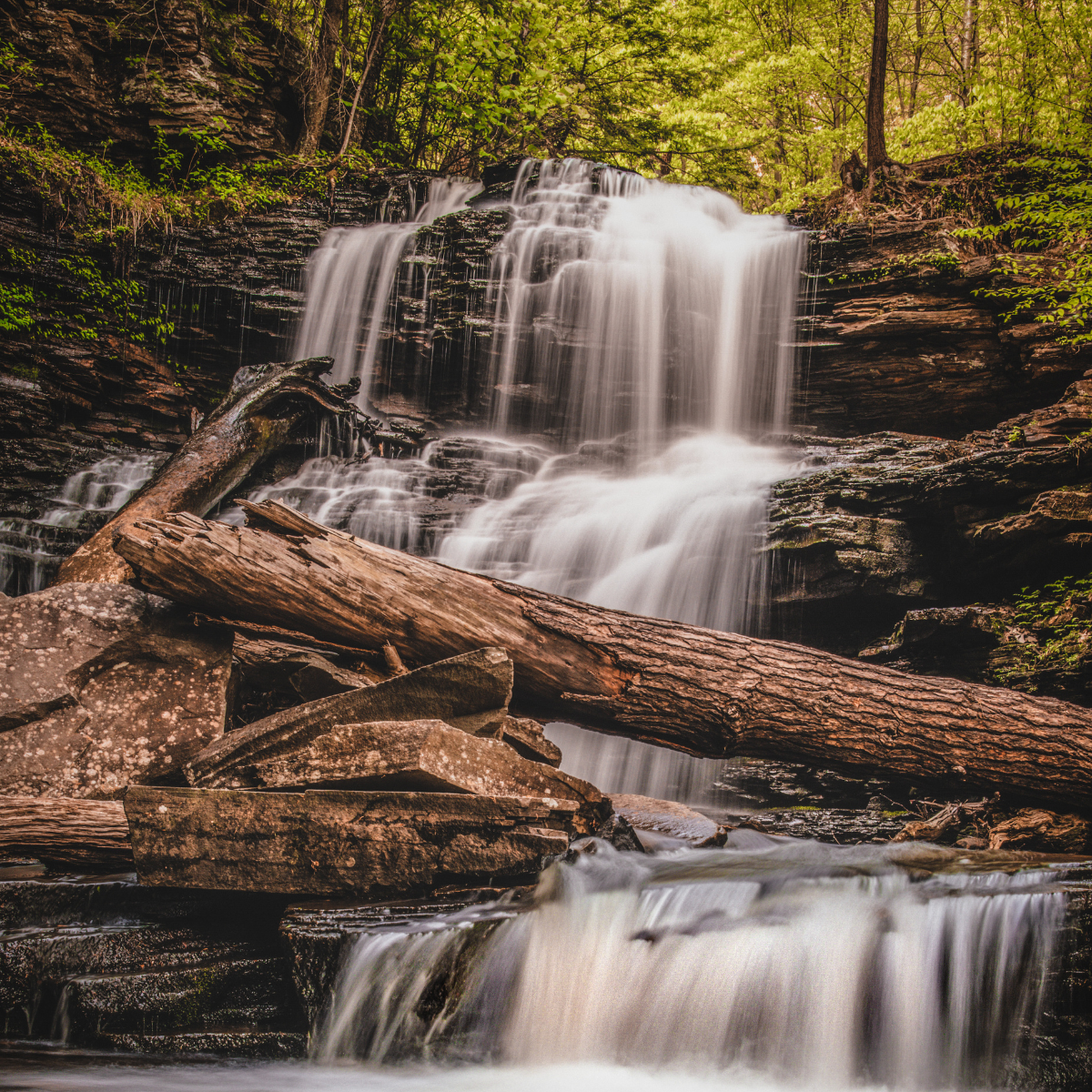 Ricketts Glen State Park