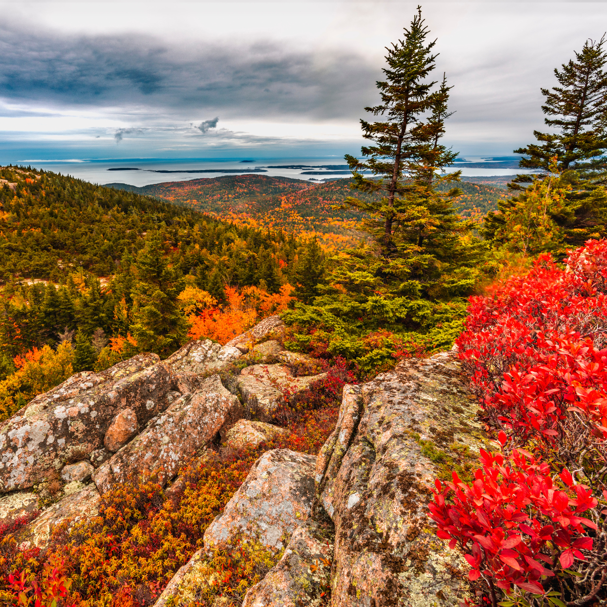 White Mountain National Forest