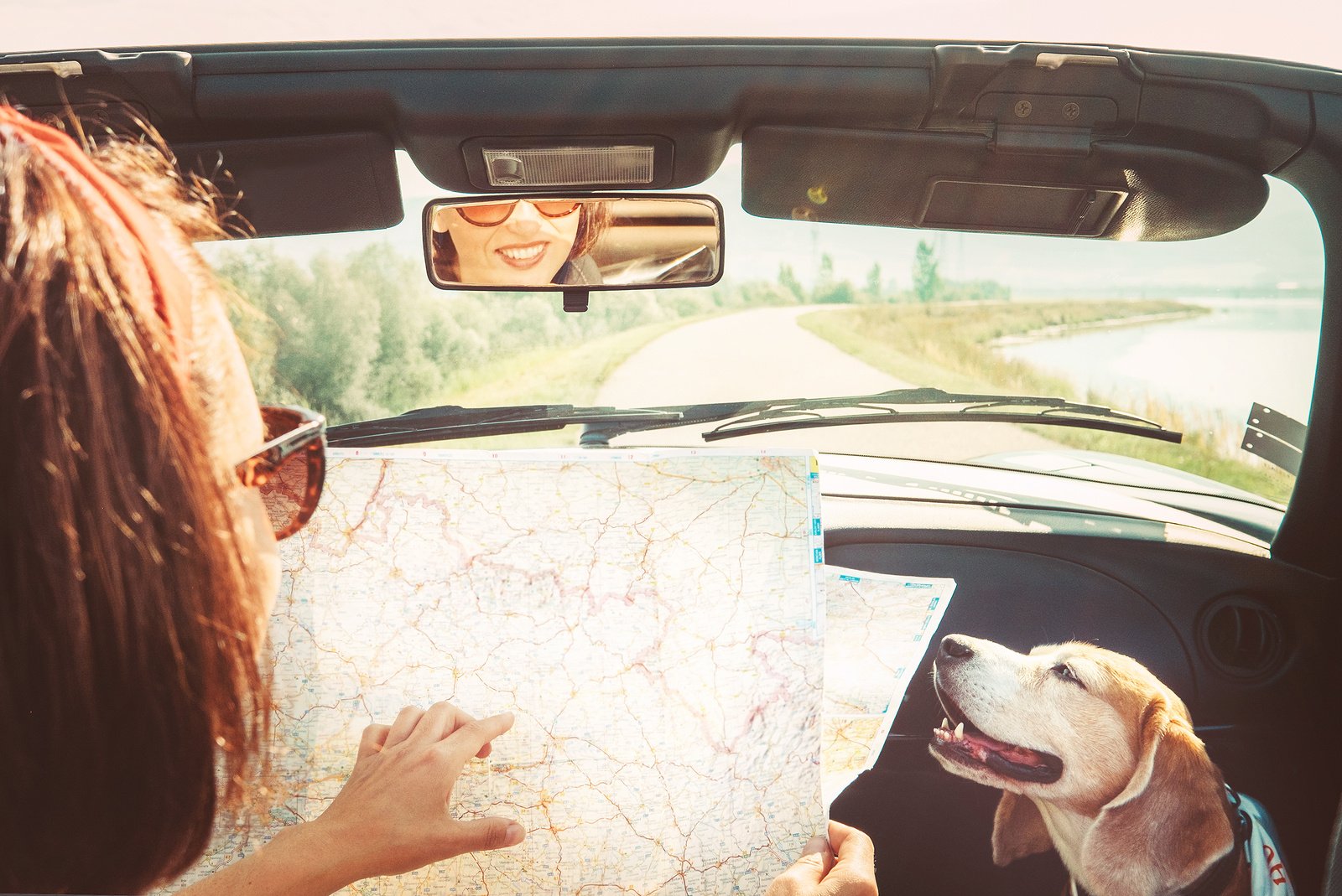Woman looking at a map in a car with her dog