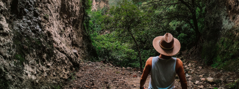 Man hiking through a forest
