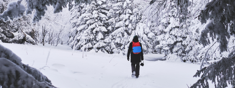 Person walking through a snowy forest
