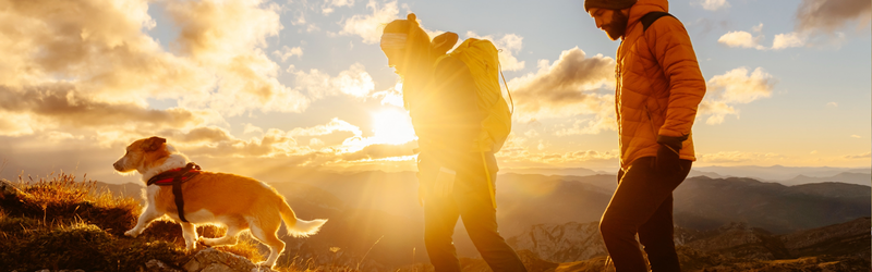 People hiking with their dog against the sunrise