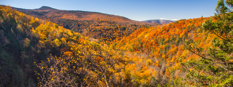 Chase Fall Views and New Opportunities as a Traveling Cath Lab Tech