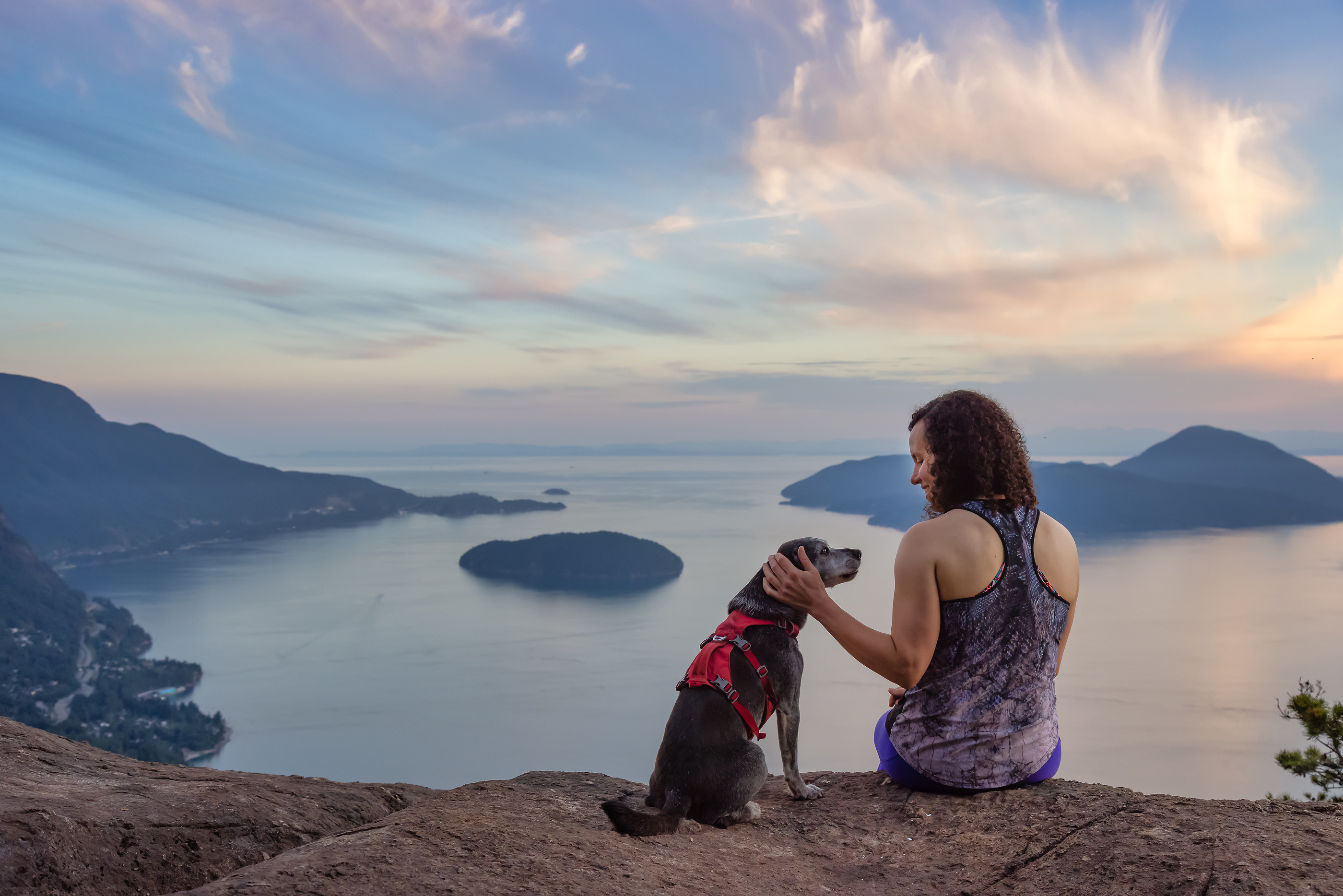 Traveling with Pets as a School-Based Therapist or Special Ed Teacher